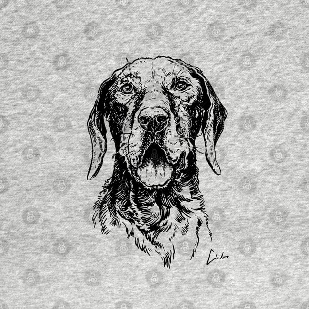 Vizsla head by SakalDesign